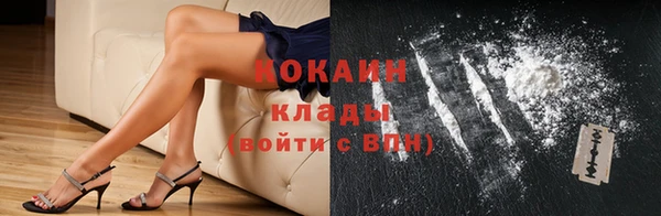 амф Елизово