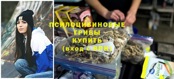 амф Елизово